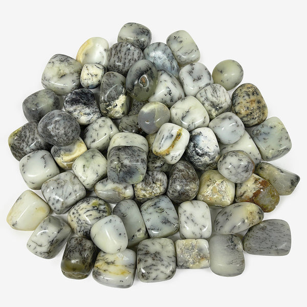 Natural Dendritic Agate Tumbled Stone Gemstones - 1 lb