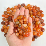 Natural Carnelian Tumbled Stone Gemstones - 1 lb