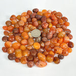 Natural Carnelian Tumbled Stone Gemstones - 1 lb