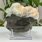 Natural Apophyllite Chalcedony Heulandite Mineral Specimen