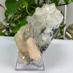 Natural Apophyllite Chalcedony Heulandite Mineral Specimen