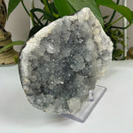 Natural Chalcedony Apophyllite Mineral Specimen