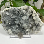 Natural Chalcedony Apophyllite Mineral Specimen
