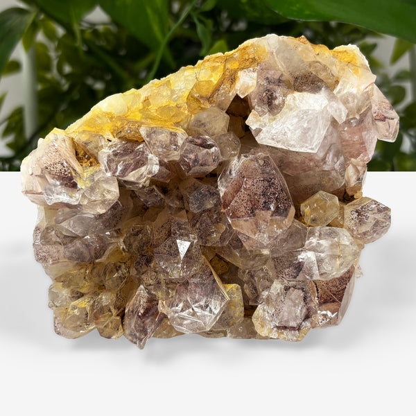 Natural Phantom Quartz Mineral Specimen - Gem Avenue Wholesale