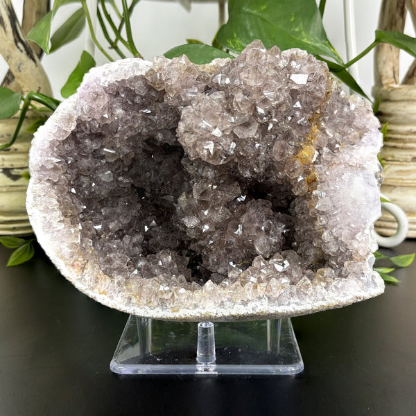 Natural Raw Amethyst Crystal Cluster Gemstone Mineral Specimen