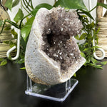 Natural Raw Amethyst Crystal Cluster Gemstone Mineral Specimen