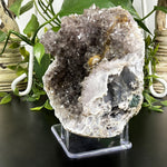 Natural Raw Amethyst Crystal Cluster Gemstone Mineral Specimen