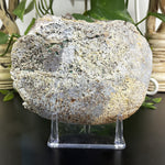 Natural Raw Amethyst Crystal Cluster Gemstone Mineral Specimen