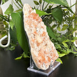 Natural Apophyllite Crystal Mineral Specimens with Hematite Inclusions