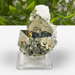 Natural Pyrite Cluster Rare Mineral Specimen & Healing Gemstone