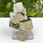 Natural Pyrite Cluster Rare Mineral Specimen & Healing Gemstone