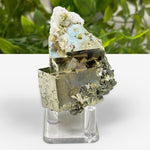 Natural Pyrite Cluster Rare Mineral Specimen & Healing Gemstone