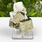 Natural Pyrite Cluster Rare Mineral Specimen & Healing Gemstone