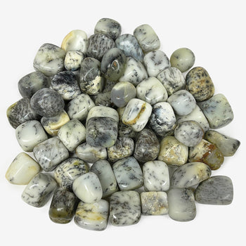 Natural Dendritic Agate Tumbled Stone Gemstones - 1 lb