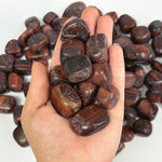 Natural Red Tiger Eye Tumbled Stone Gemstones - 1 lb