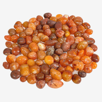 Natural Carnelian Tumbled Stone Gemstones - 1 lb