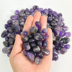 Natural Amethyst Tumbled Stone Gemstones - 1 lb
