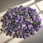 Natural Amethyst Tumbled Stone Gemstones - 1 lb