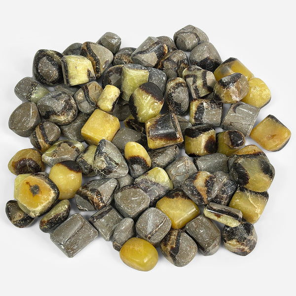 Natural Septarian Tumbled Stone Gemstones- 1 lb
