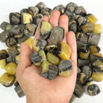 Natural Septarian Tumbled Stone Gemstones- 1 lb