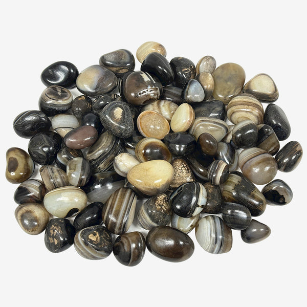 Natural Black Onyx Tumbled Stone Gemstones - 1 lb