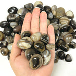 Natural Black Onyx Tumbled Stone Gemstones - 1 lb