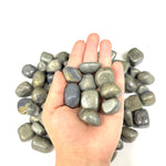 Natural Pyrite Tumbled Stone Gemstones - 1 lb