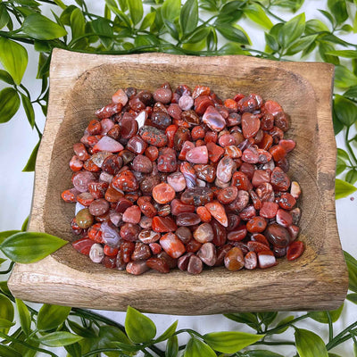 Carnelian Chips Wholesale - Gem Avenue