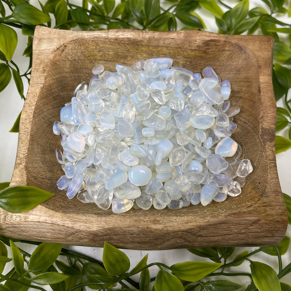 Opalite Chips Wholesale - Gem Avenue