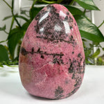 Rhodonite Gemstone Freeform - 11-0121