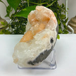 Natural Apophyllite Stilbite Mineral Specimen