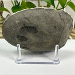 Natural Apophyllite Heulandite Stilbite Mineral Specimen