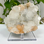 Natural Apophyllite Heulandite Mineral Specimen #24-0365