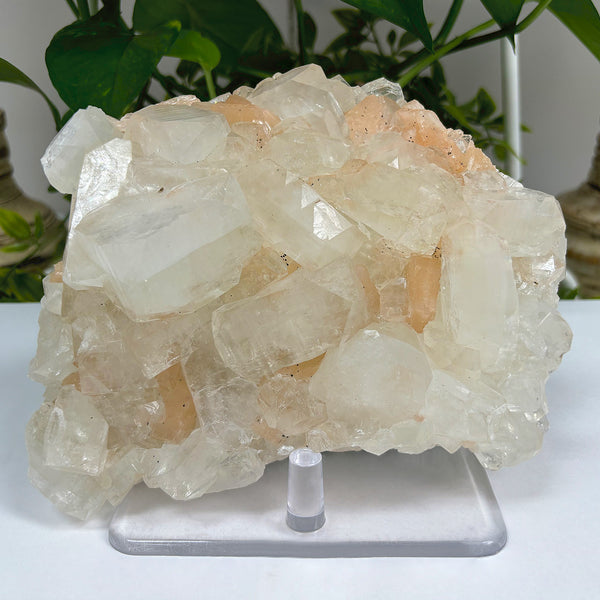 Natural Apophyllite Heulandite Mineral Specimen