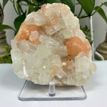 Natural Apophyllite Stilbite Mineral Specimen