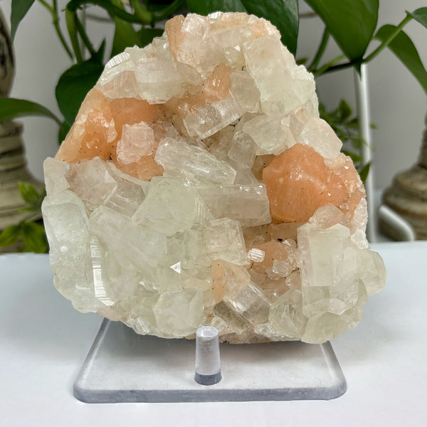 Natural Apophyllite Stilbite Mineral Specimen