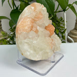 Natural Apophyllite Stilbite Mineral Specimen