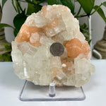 Natural Apophyllite Stilbite Mineral Specimen