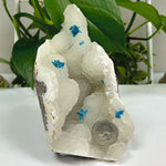 Natural Cavansite Mineral Specimen