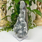 Natural Chalcedony Apophyllite Mineral Specimen