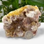 Natural Phantom Quartz Mineral Specimen