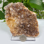 Natural Phantom Quartz Mineral Specimen
