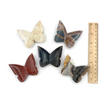 Set of 5 Wholesale Natural Handcrafted Mixed Crystal Butterfly Figurine