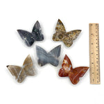 Set of 5 Wholesale Natural Handcrafted Mixed Crystal Butterfly Figurines