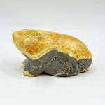 Bumble Bee Jasper Frog Figurine - RAN523