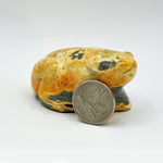 Bumble Bee Jasper Frog Figurine - RAN523