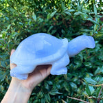 Blue Chalcedony Turtle Figurine - RAN529