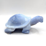 Blue Chalcedony Turtle Figurine - RAN529