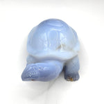 Blue Chalcedony Turtle Figurine - RAN529
