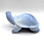 Blue Chalcedony Turtle Figurine - RAN529